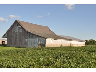 Property photo 4 - 204.5 +/- Acres Offered in 3 Tracts - Farmland Auction